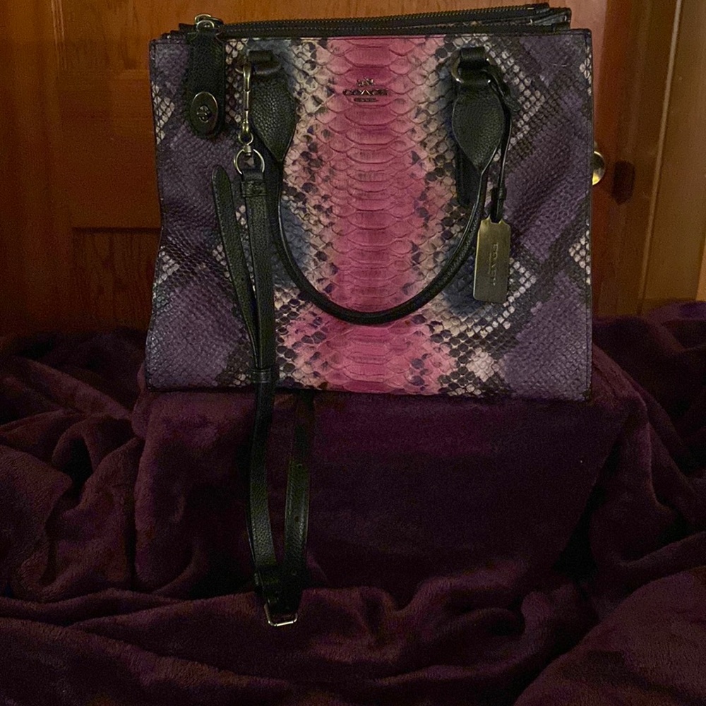Coach Multicolor Python Handbag